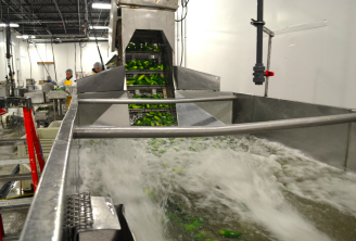 Vegetable processing plant in Skagit Valley