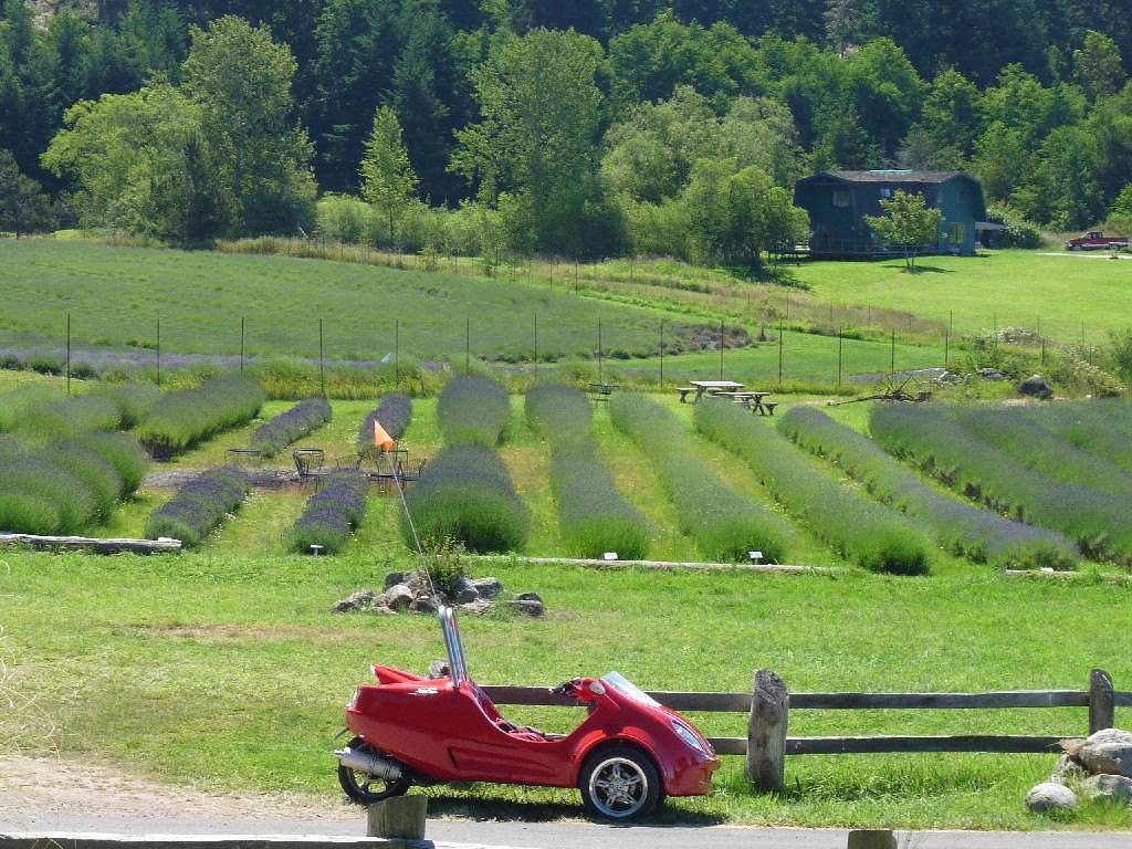 Susie's Moped Rentals Friday Harbor, WA Skagit Directory