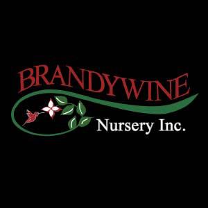 Brandywine Nursery Inc logo