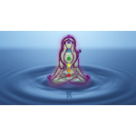Arasu Healing Arts LLC logo