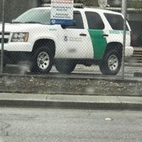 Us Border Patrol logo