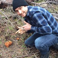 Whidbey Wild Mushroom Tours logo