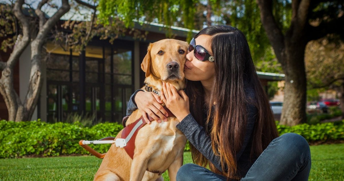 Guide Dogs For The Blind logo