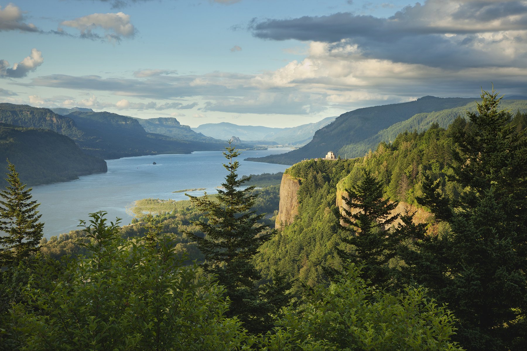 Pioneer Packaging logo