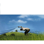 Horizon Lawn Maintenance logo