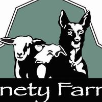 Ninety Farms logo