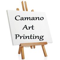 Camano Art Printing logo