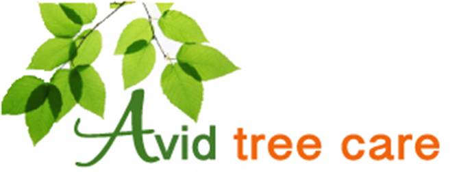 Avid Tree Care LLC logo