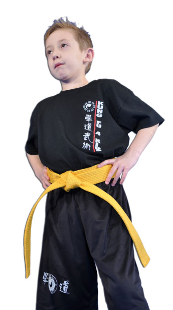 Marysville Martial Arts - Kung Fu 4 Kids / Kung Fu Northwest logo