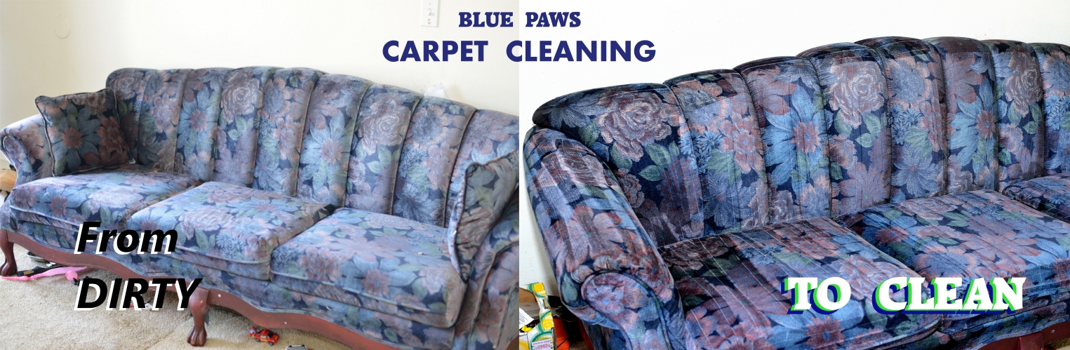 blue paws carpet cleaning logo