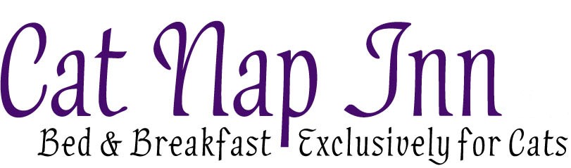 Cat Nap Inn logo