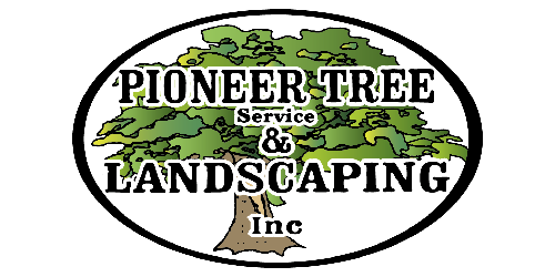 Pioneer Tree Service & Landscaping Inc logo
