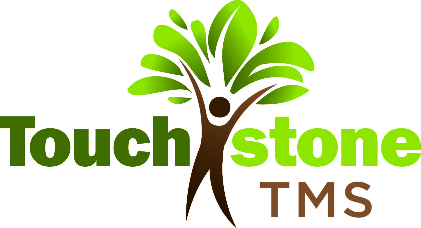 Touchstone TMS logo