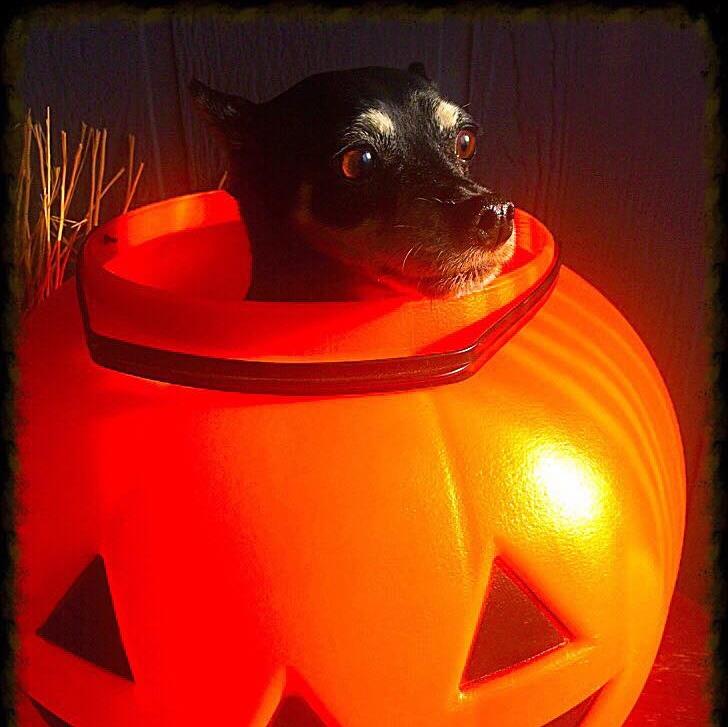 Ladders Clothing & Co Stanwood, WA Skagit Directory