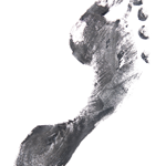 Chang Nicholas Dpm logo