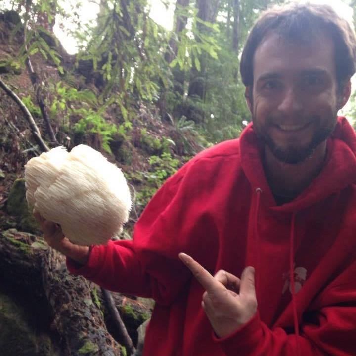 Whidbey Wild Mushroom Tours Langley, WA Skagit Directory