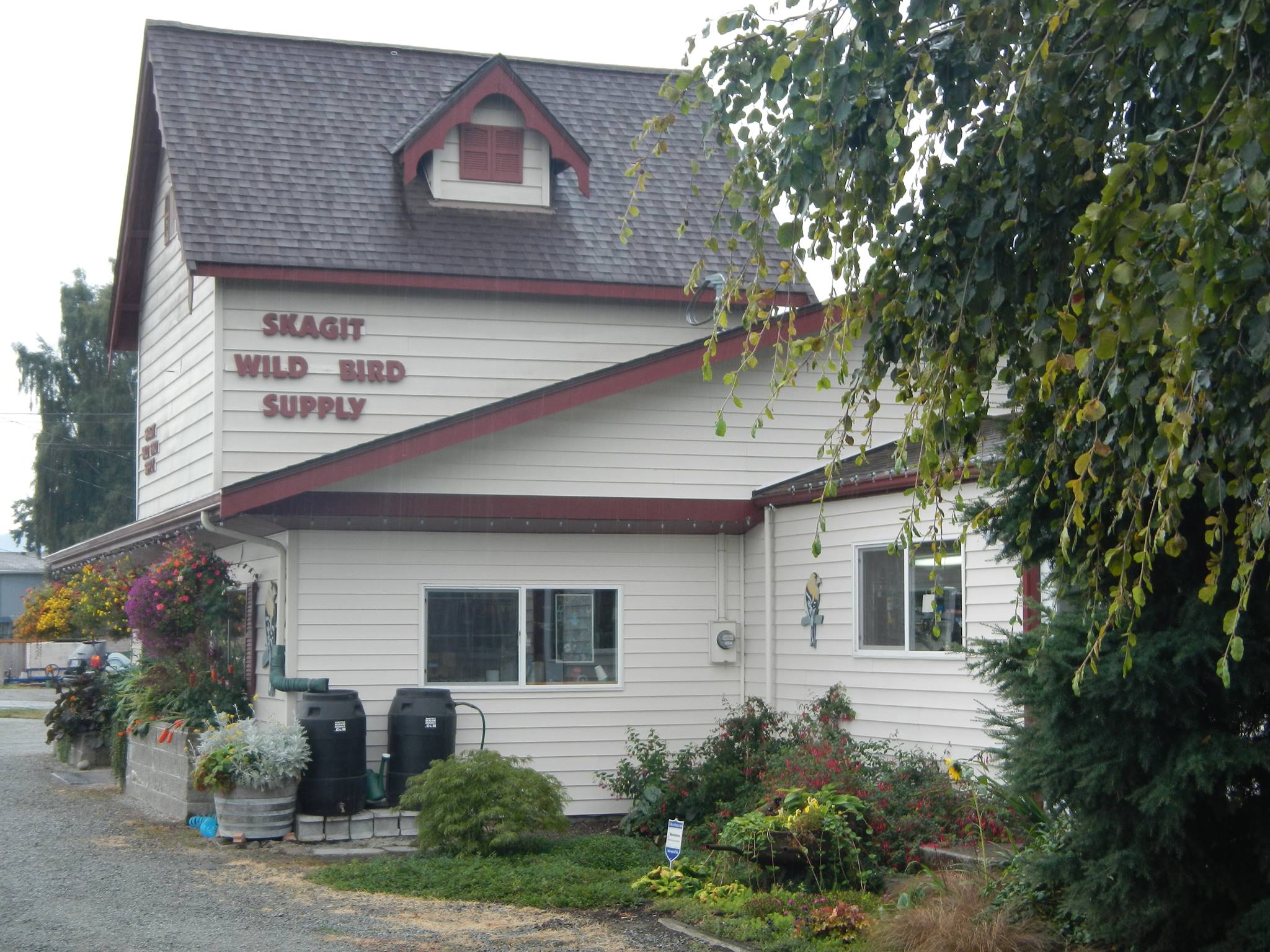 Skagit Wild Bird Supply Mount Vernon, WA Skagit Directory