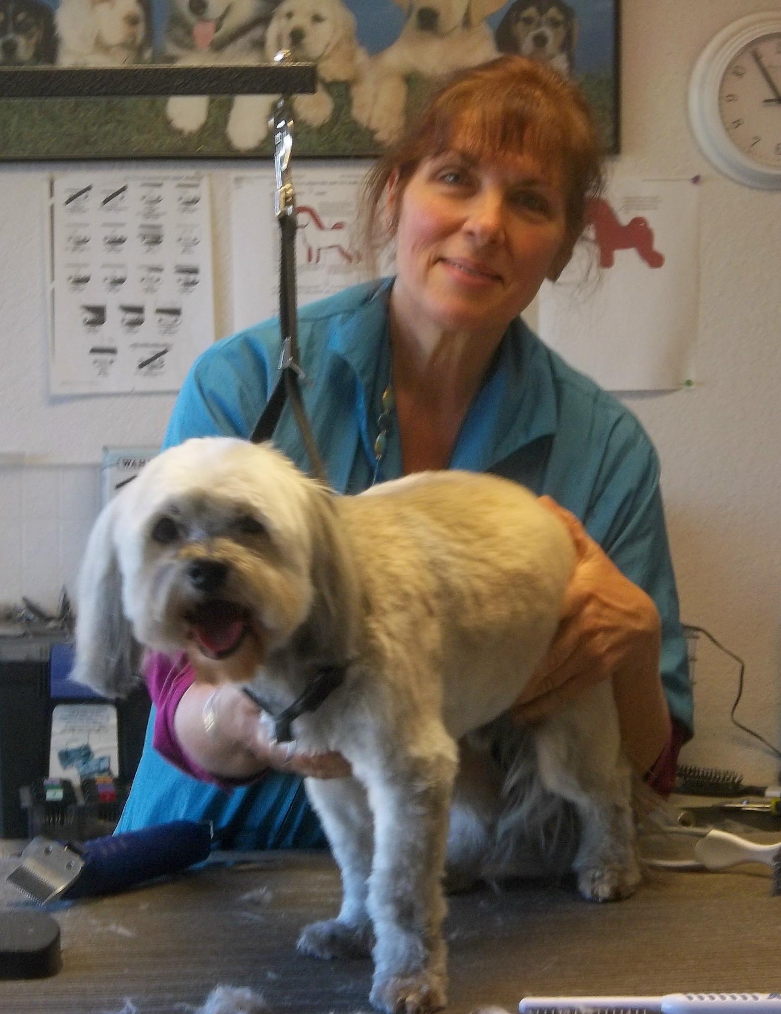 West Beach Dog Grooming Coupeville, WA Skagit Directory