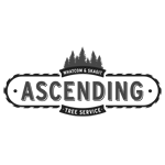 Ascending Tree Service Llc logo