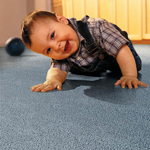 Smith Brothers Carpet Cleaning Inc logo