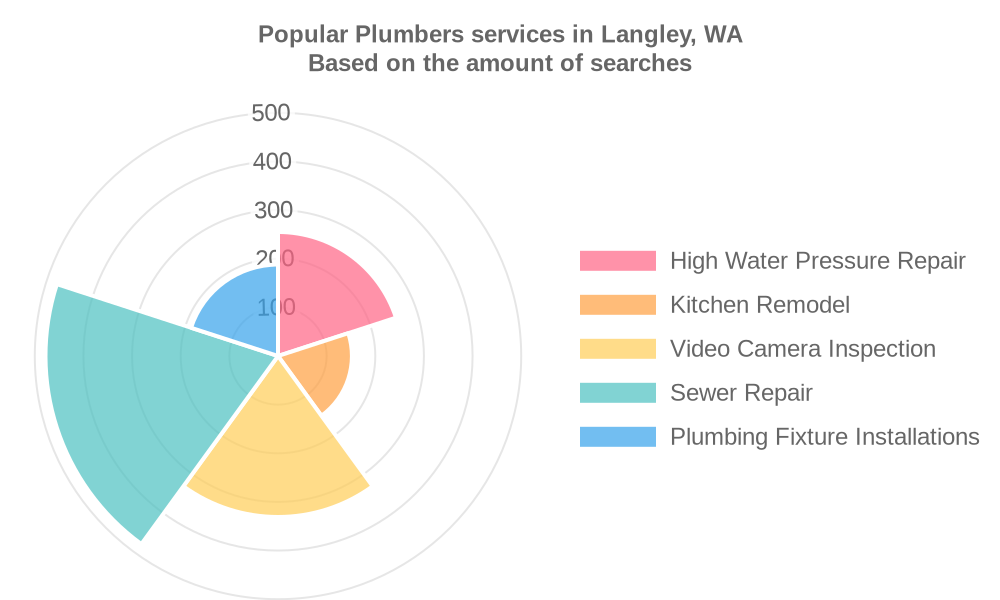 Popular services provided by plumbers in Langley, WA