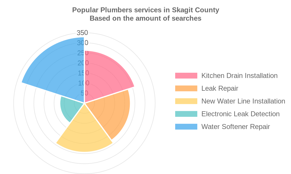Popular services provided by plumbers in Skagit County