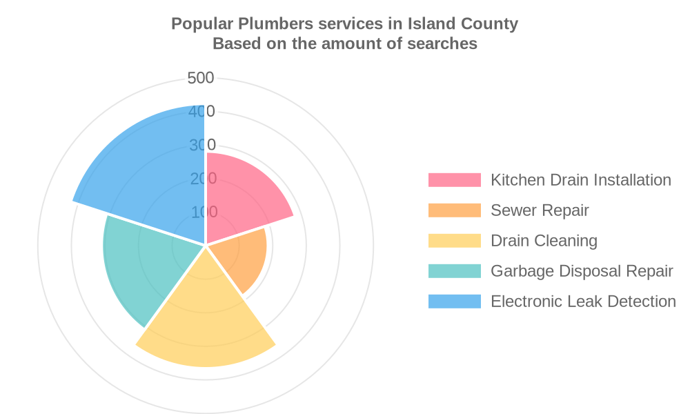 Popular services provided by plumbers in Island County