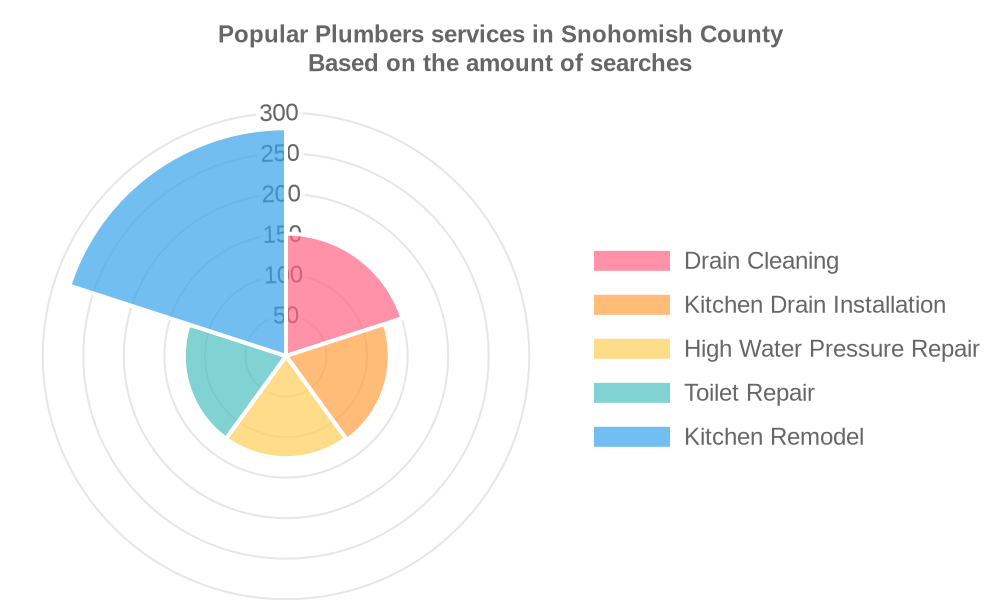 Popular services provided by plumbers in Snohomish County
