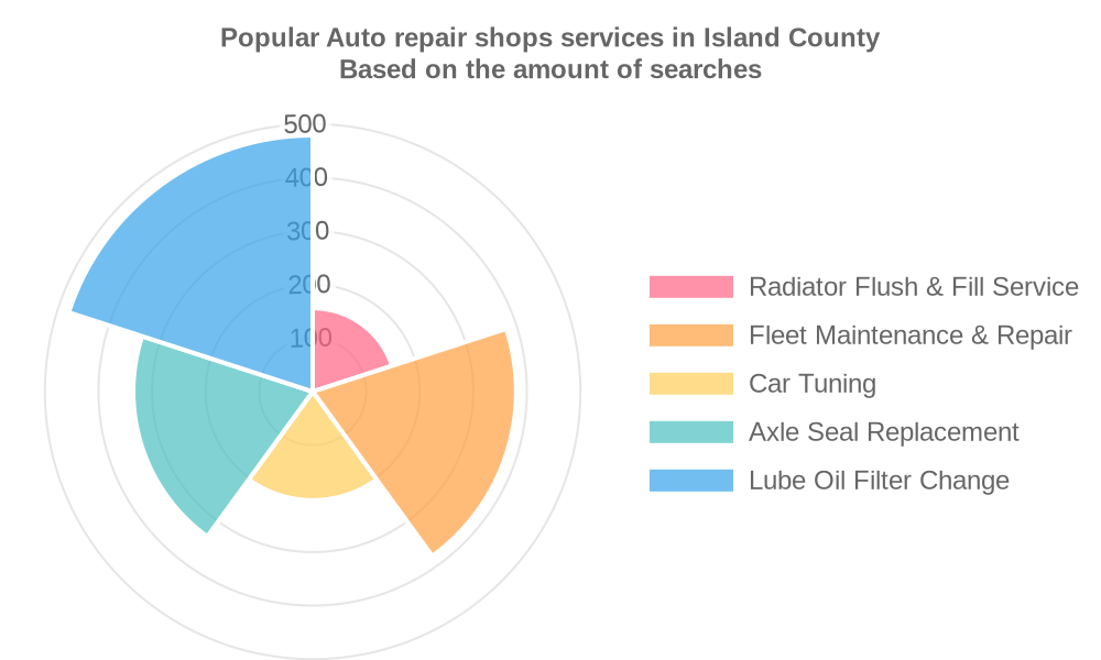 Popular services provided by auto repair shops in Island County