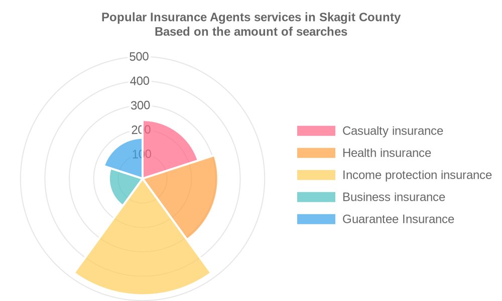 Popular services provided by insurance agents in Skagit County