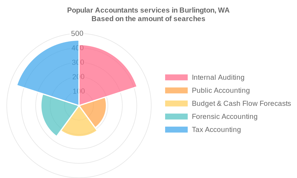 Popular services provided by accountants in Burlington, WA