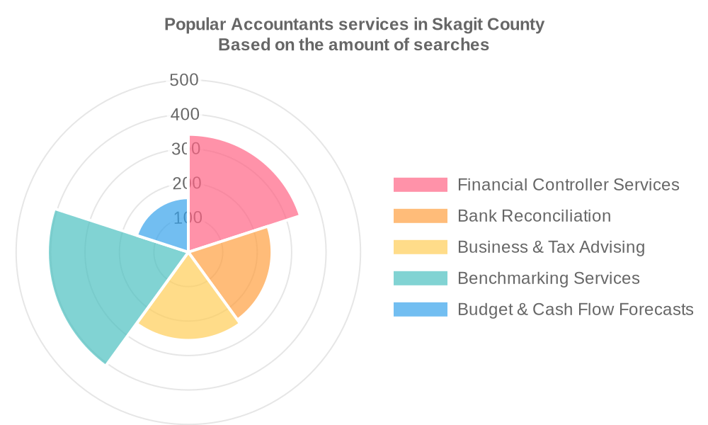 Popular services provided by accountants in Skagit County