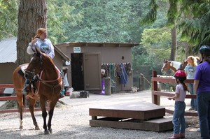 Photo uploaded by Lang's Horse & Pony Farm