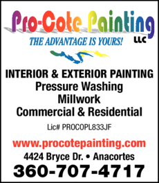Print Ad of Pro-Cote Painting Llc