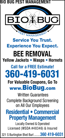Print Ad of Bio Bug Pest Management