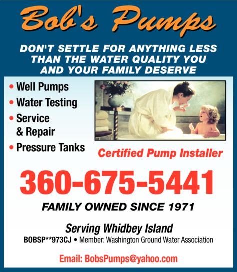 Print Ad of Bob's Pumps