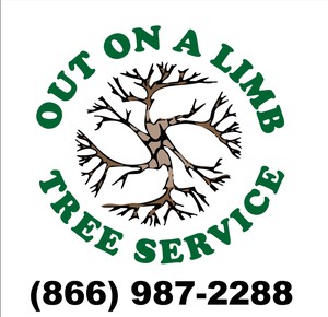 Out On A Limb Tree Service Arlington Wa Skagit Directory