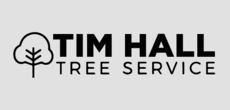 Print Ad of Tim Hall Tree Service