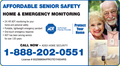Print Ad of Adex Home Security