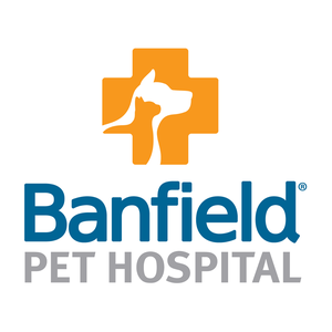Photo uploaded by Banfield Pet Hospital