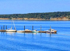 Photo uploaded by Island Life Web Design Inc