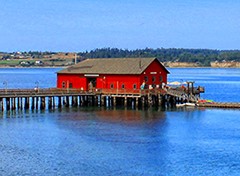 Photo uploaded by Island Life Web Design Inc