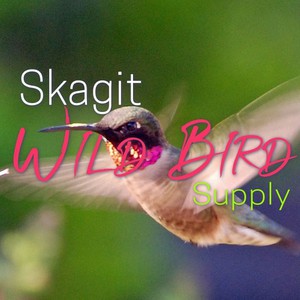 Photo uploaded by Skagit Wild Bird Supply