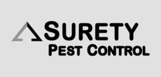 Print Ad of Surety Pest Control