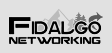 Print Ad of Fidalgo Networking
