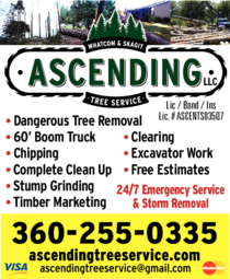 Print Ad of Ascending Tree Service Llc