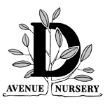 D Avenue Nursery logo