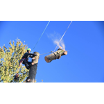 Puget Sound Tree Care Llc logo