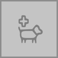 The Vet's Animal Hospital logo